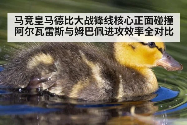 马竞皇马德比大战锋线核心正面碰撞 阿尔瓦雷斯与姆巴佩进攻效率全对比
